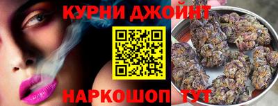 крисы Новозыбков